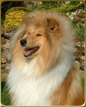 CH. Take a bow des marecages du Prince