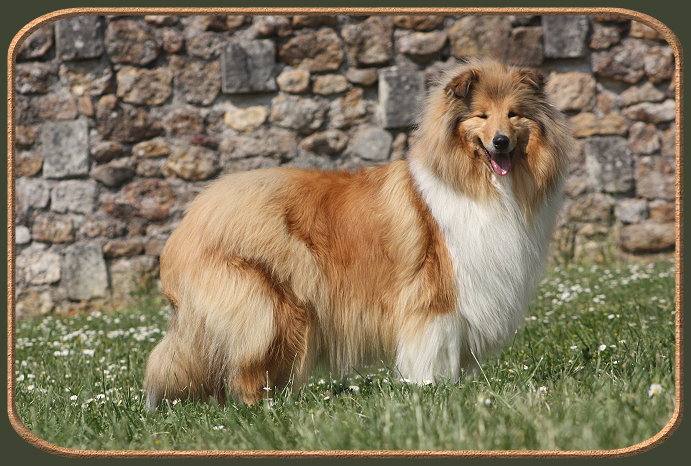 Diabolique amazone des marecages du Prince