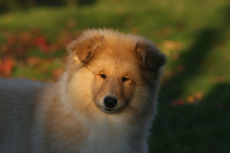 Insolente madonna Des Plaines D'earny